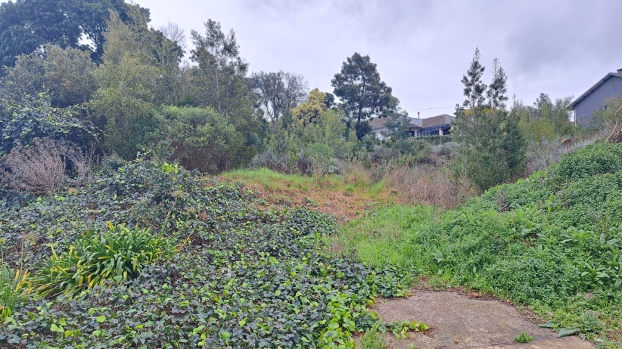 0 Bedroom Property for Sale in Caledon Western Cape